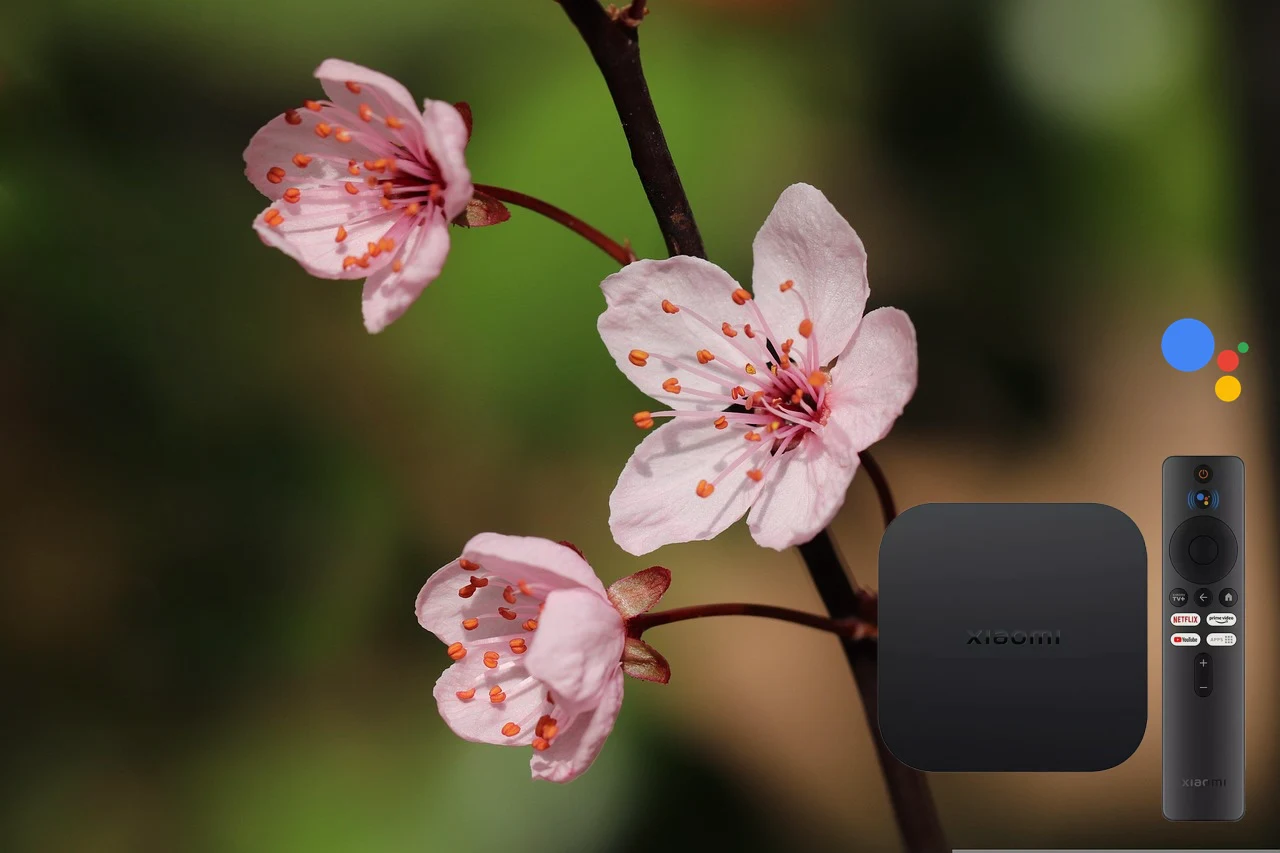 Xiaomi TV Box (2. Gen) – Ihr Smart-TV-Erlebnis mit 4K HDR und Android TV